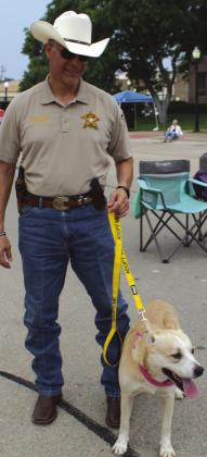 Burnet County Chief Deputy Alan Trevino tends ownerless dog Bug June 17 during the Dog Walk portion of the “Jackson Street Jam” along the Burnet County Courthouse south side. The Hill Country Humane Society plans to shelter Bug until the dog is adopted.