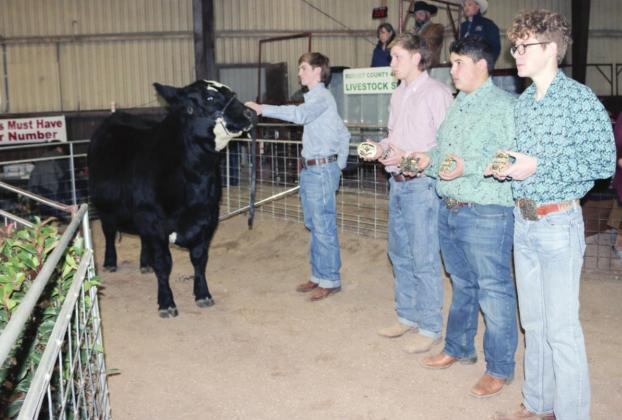 The steer and heifer shows are scheduled for Friday night as the final show of the event. Steers begin at 5:30 p.m. and the heifer show immediately follows. File photo