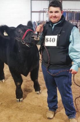 Kendrick Castillo shows off his steer, Senor, at the 2021 Burnet County Livestock Show. The show set a record for auction funds raised despite lower participation due to the virus. Contributed/ Robin Humphreys