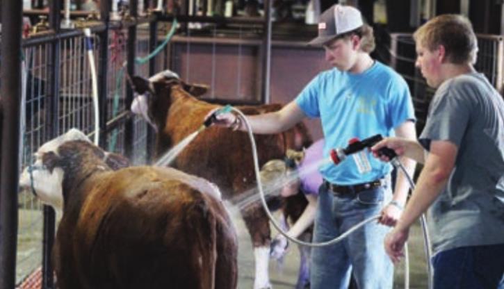 The Burnet County youth livestock show will start on Thursday, Jan. 7 and finalize with sale on Saturday, Jan. 9. File photo