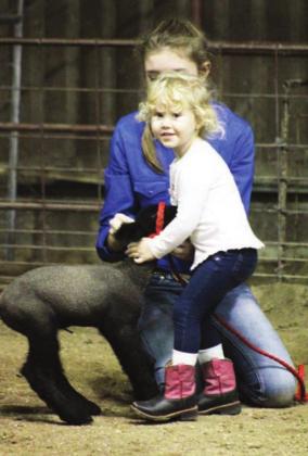 The Burnet County livestock show will have shows on Thursday and Friday, including Ag Mechanics, rabbits, poultry, swine and cattle. On Saturday, winners will receive their awards, and the annual sale begins at 1 p.m. File photo