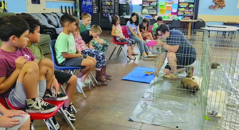 The Burnet unit, 709 Northington St., hosts summer activities and special events including visits from critter visitors, as seen here on June 20. Contributed photo