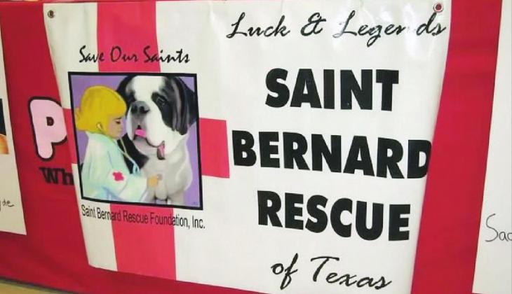 Contributed The Texas of Luck &amp; Legends Saint Bernard Rescue chapter is a part of the National Saint Bernard Rescue Foundation, Inc., located in Bertram. The organization acts on behalf of Saint Bernard dogs and puppies who have been abused and neglected or, for some reason, found homeless and then placed with suitable owners.